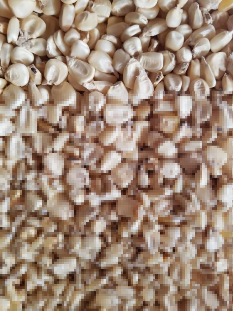 cashew nuts for sale. whatsap +255764365222