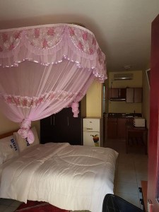 Apartment for Rent - Kololo Thongpiny